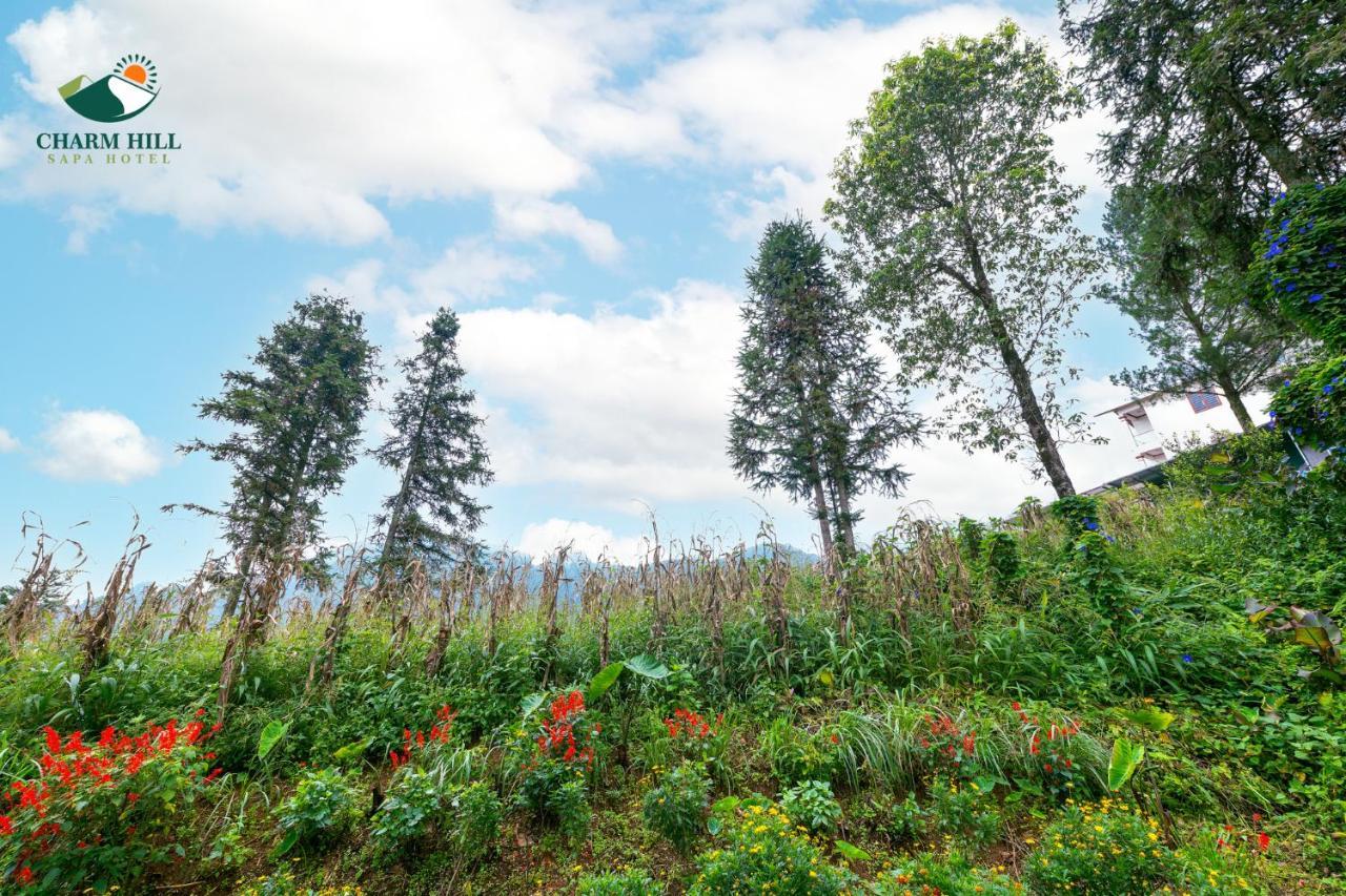 Charm Hill Sapa Hotel Bagian luar foto